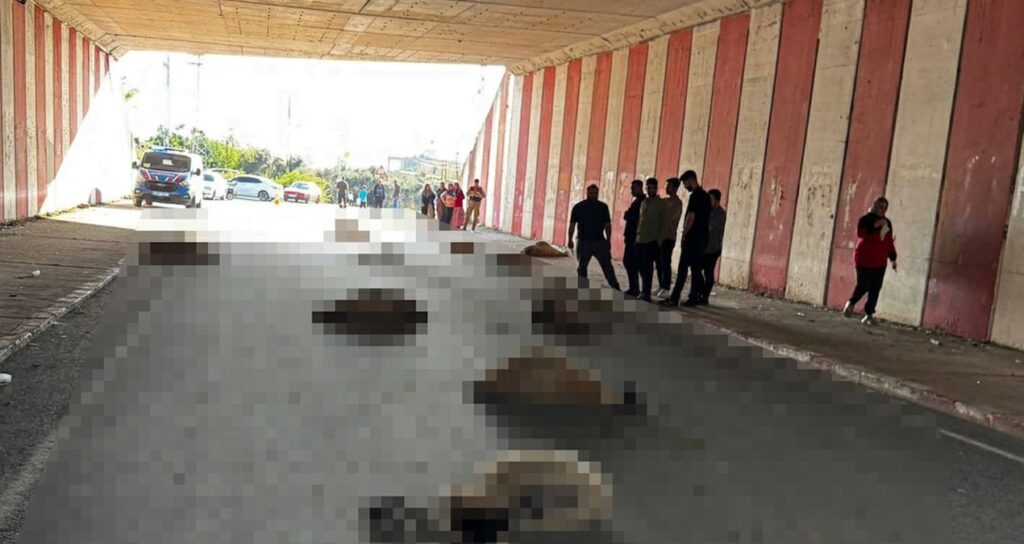 otomobil-koyun-surusune-daldi-18i-oldu-O9clDDU3