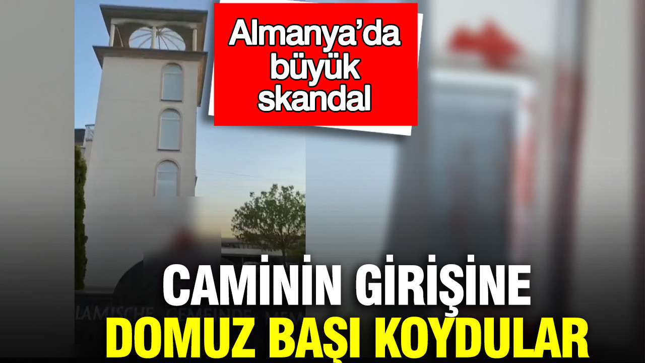 almanyada-buyuk-skandal-caminin-girisine-domuz-basi-koydular-F3jwMgmY