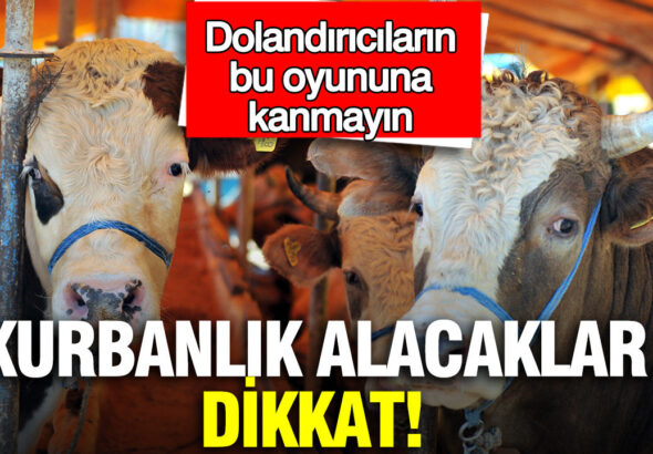 kurbanlik-alacaklar-dikkat-dolandiricilarin-bu-oyununa-kanmayin-KN6pPLk3