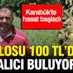 Karabukte hasat basladi kilosu 100 tlden alici buluyor EbAAyNqC