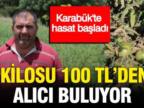 Karabukte hasat basladi kilosu 100 tlden alici buluyor EbAAyNqC