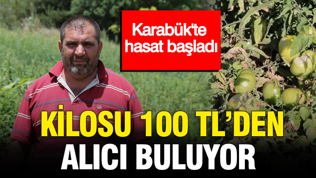 Karabukte hasat basladi kilosu 100 tlden alici buluyor EbAAyNqC